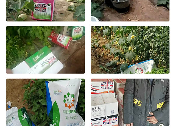 鑻卞浗鍗¤開(kāi)澶紙鍖椾含錛夊啘涓氱鎶鏈夐檺鍏徃浜у搧_08.jpg 鑻卞浗鍗¤開(kāi)澶紙鍖椾含錛夊啘涓氱鎶鏈夐檺鍏徃浜у搧_08.jpg