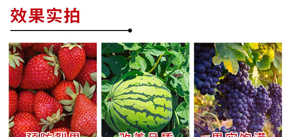 進口果頓普蓓·優(yōu)鈣-功能性水溶葉面肥微肥-亞瑟夫 進口果頓普蓓·優(yōu)鈣-功能性水溶葉面肥微肥-亞瑟夫