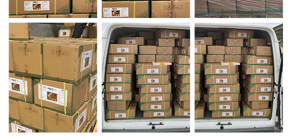 進口果頓普蓓·優(yōu)鈣-功能性水溶葉面肥微肥-亞瑟夫 進口果頓普蓓·優(yōu)鈣-功能性水溶葉面肥微肥-亞瑟夫