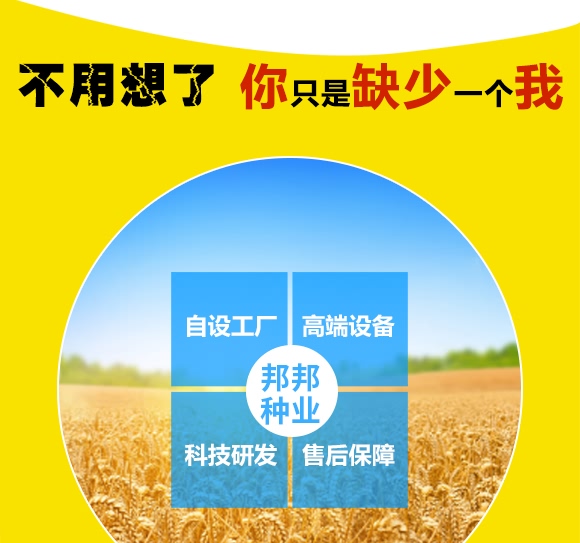 鄭品麥27號-小麥種子-邦邦種業(yè) 鄭品麥27號-小麥種子-邦邦種業(yè)