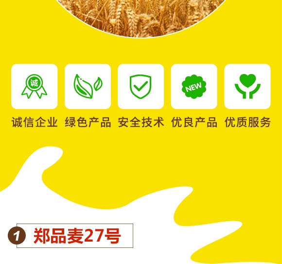 鄭品麥27號-小麥種子-邦邦種業(yè) 鄭品麥27號-小麥種子-邦邦種業(yè)