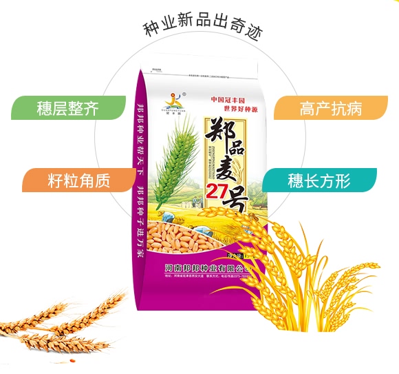 鄭品麥27號-小麥種子-邦邦種業(yè) 鄭品麥27號-小麥種子-邦邦種業(yè)