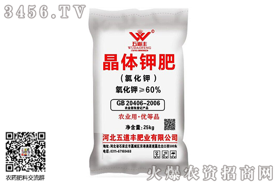 ⛷o׃2020-8-10⛷ʃr(ji)(bo)r(ji)һ[