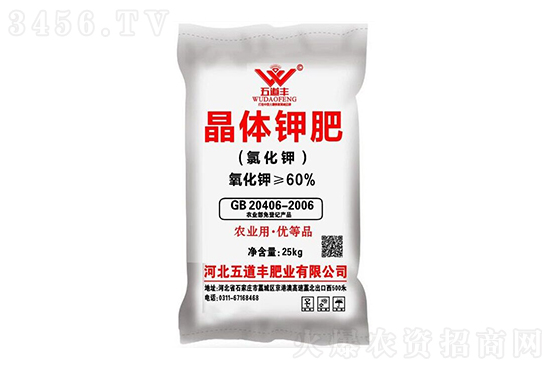 Ȼ⛈rϝq2020-12-19Ȼ⛃rrһ[