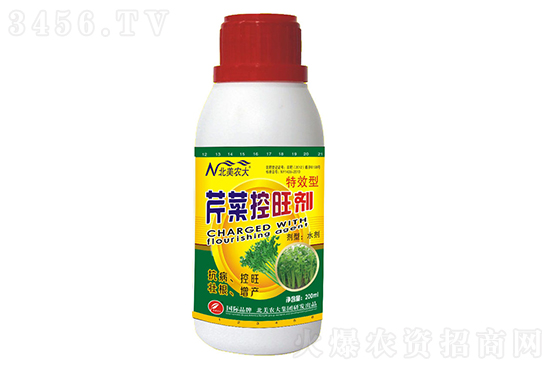 露地芹菜什么時(shí)候種較合適?露地芹菜種植技術(shù)和種植時(shí)間 露地芹菜什么時(shí)候種較合適?露地芹菜種植技術(shù)和種植時(shí)間