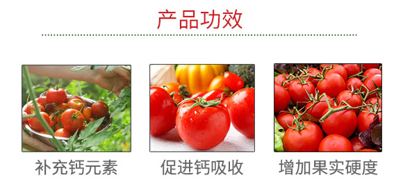 涔愰櫟甯?jìng)鍐滃崥澹尕滆偉鏈夐檺鍏徃_03.jpg 涔愰櫟甯?jìng)鍐滃崥澹尕滆偉鏈夐檺鍏徃_03.jpg