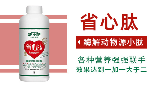 酶解动物源小?施小肥_03.jpg