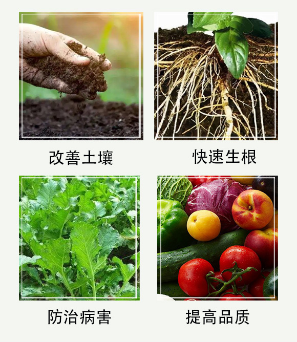 艾詠農(nóng)-佳禾宜農(nóng)_05.jpg 艾詠農(nóng)-佳禾宜農(nóng)_05.jpg