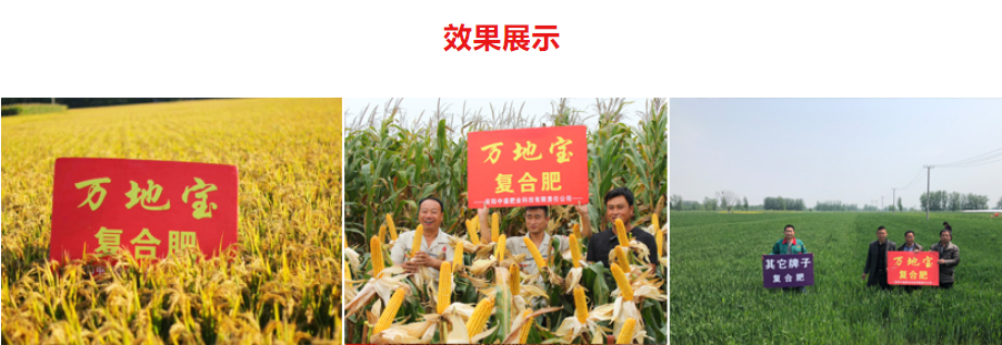 鍥劇墖2.png 鍥劇墖2.png