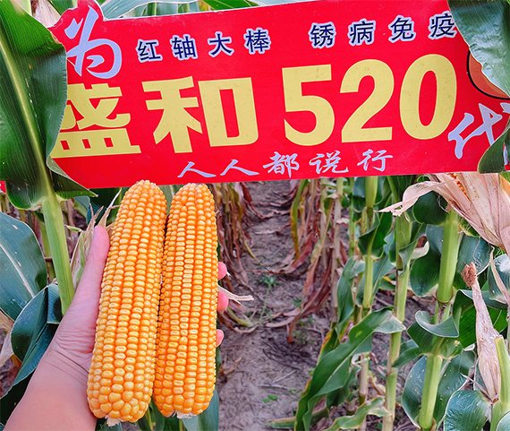 寰俊鍥劇墖_20241113141720.png 寰俊鍥劇墖_20241113141720.png