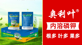 ؑcW~Wr(nng)I(y)Ƽ޹˾