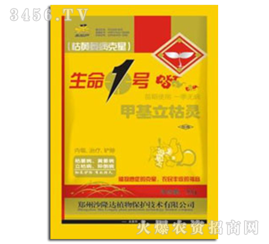 ׻`-1̖(ho)-ɳ¡_(d)