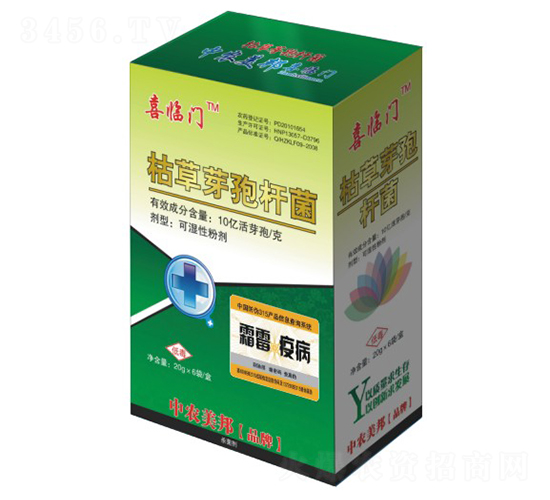 ݲѿߗU˪߲-ϲRT-r(nng)