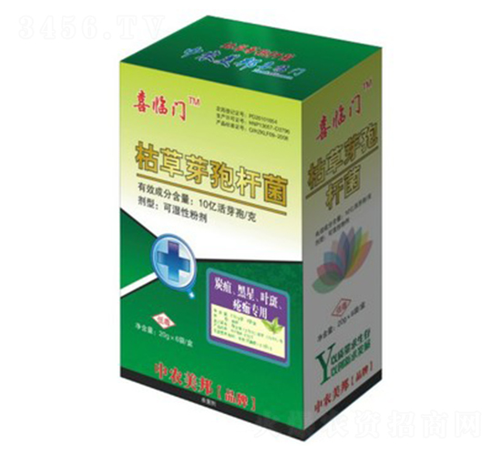 ݲѿߗU̿~ߣ-ϲRT-r(nng)