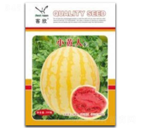 СS-ϷN-_(ti)r(nng)Y