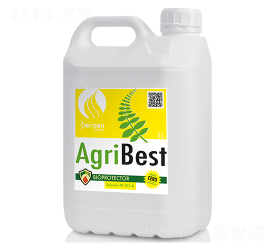 E̖(ho)-(zhun)οԷ۽-m