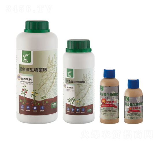 I(yng)B(yng)L(zhng)(f)΢ʣ-A