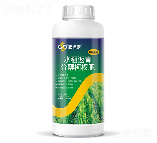 1000mlӹˮY辷-ʩ