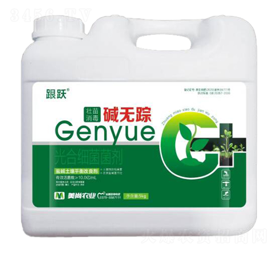 Ao(w)ۙ-S-r(nng)I(y)