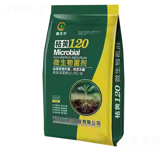 ΢-S120-֠-֠r(nng)I(y)