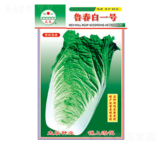 ײ˷N-ס̖(ho)-̫NI(y)