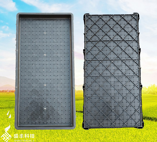 9պP(pn)-ʢSr(nng)C(j)