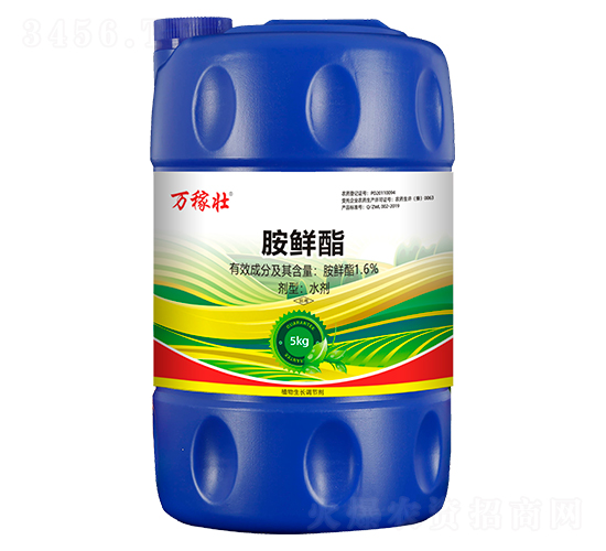 1.6%rˮ-fډ-r(nng)_(d)