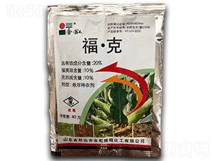 20%ˑҸN40g--r(nng)(gu)̩