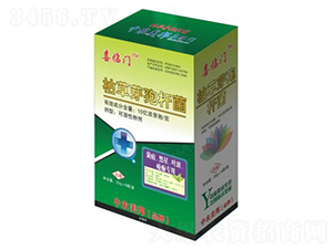 ݲѿߗU̿ǡ~ߣ-ϲRT-r(nng)