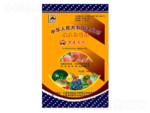 ߌ(zhun)΢--ʷʘI(y)