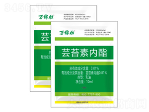 |̦؃(ni)-fډ-r(nng)_(d) 