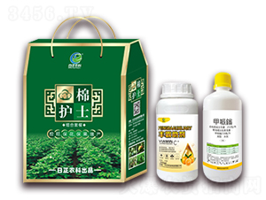 a(chn)Mײ-o(h)ʿ-r(nng)