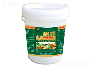 ๦ܠI(yng)B(yng)Һ--ţ