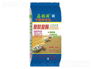 ď(f)øС(zhun)Ó19-21-5-θ