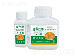 (zhun)úֲˮܷϣ1+1ͣ--Gֲ