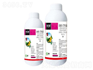 73%ȲV-so(w)M(mn)-՘(l)