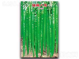 ݰ̖(ho)F1-N-ʒзNI(y)