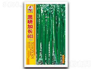 ʒмL(zhng)603-N-ʒзNI(y)