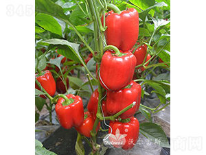 t_F1紺ӼԽ߮a(chn)tɫ𽷣-𽷷N-֠˹