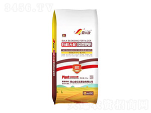 ЙCoC24-10-10--|_(d)ʘI(y)