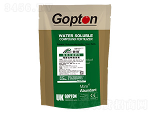 M(jn)ڹDطNϺ弤̼-ɪ