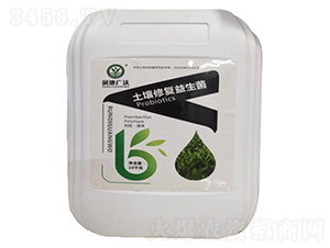 ޏ-(chung)Sr(nng)I(y)