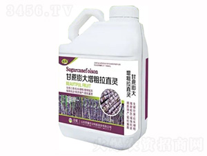 5kgͰbҺ-ֱ`-sҫr(nng)I(y)