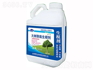 5kgͰbҺ-(sh)-sҫr(nng)I(y)