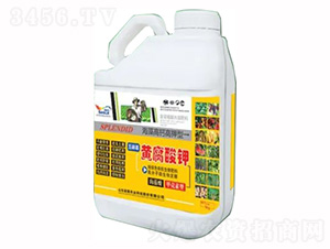 5kgͰbҺ-S-sҫr(nng)I(y)