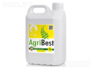 E̖(ho)-(zhun)οԷ۽-m