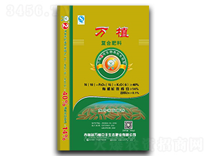 fֲ2̖ЙC(j)LЧ͏(f)Ϸ19-15-6-fֲ