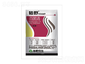 75%پɝԷۄ-Ұr(nng) 