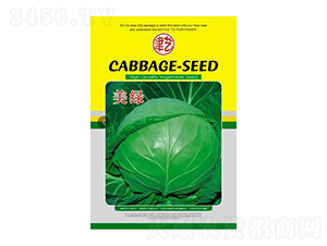 甘藍(lán)種子-美綠-邯豐農(nóng)業(yè)