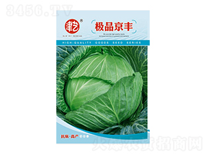 甘藍(lán)種子-京豐-邯豐農(nóng)業(yè)